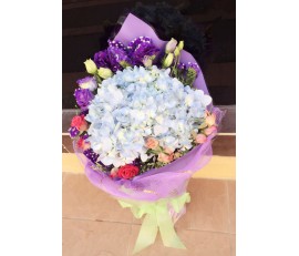 F110 BLUE HYDRANGEAS WITH PURPLE MATCHING FLOWERS IN PURPLE WRAP 